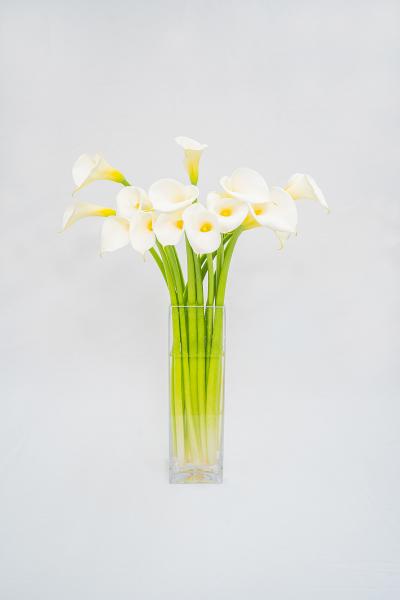 カラーの花