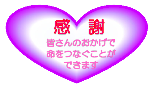 感謝　皆さんのおかげで命をつなぐことができます
