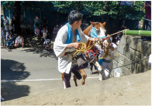 人見神社の神馬