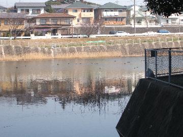 新関谷池
