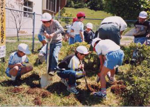 みどりの日記念植樹祭（北子安小学校にて）の写真