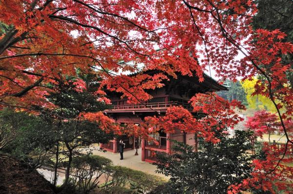 神野寺の写真