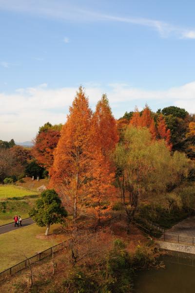 紅葉2の写真