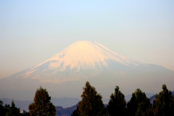 富士山の写真