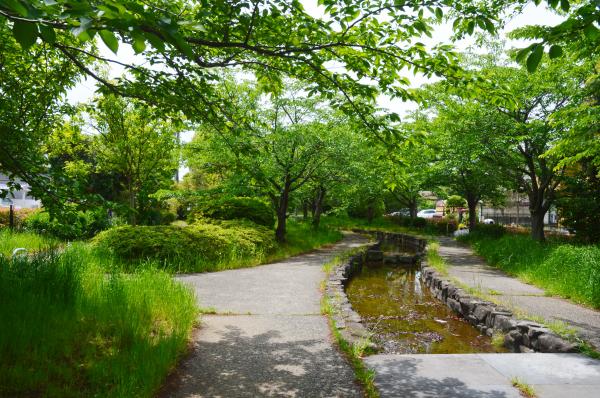 大道沢公園の写真