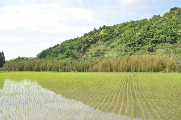 田園風景（久留里）の写真