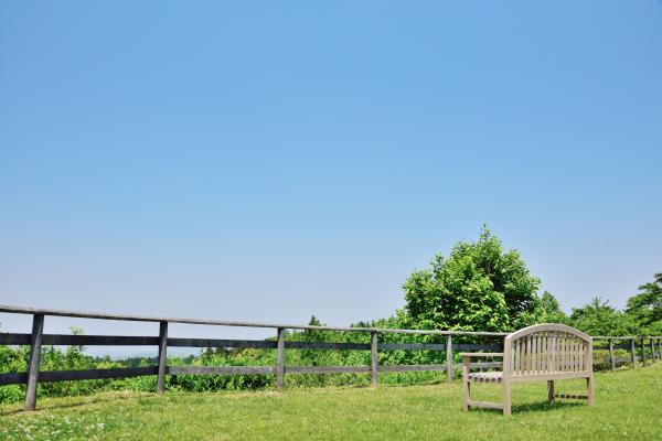 きみつの散歩道の画像