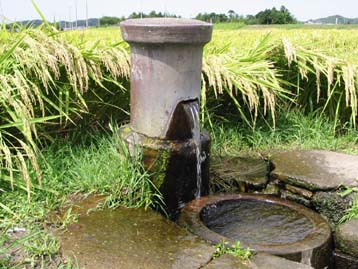 井戸水の写真