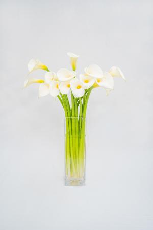 カラーの花