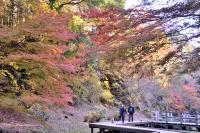 清水渓流広場の写真