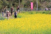 三舟山・郡ダムお花見ウォークの写真