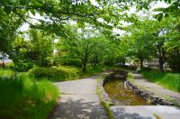 大道沢公園の写真