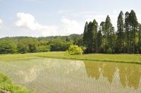 田園風景3(久留里)の写真