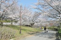 内箕輪運動公園の写真