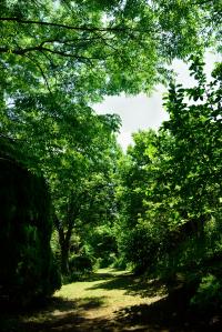 きみつの散歩道