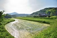 田園風景（松丘）