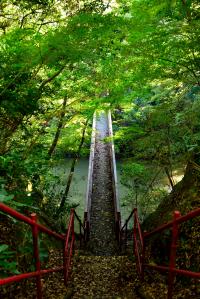 神橋の写真