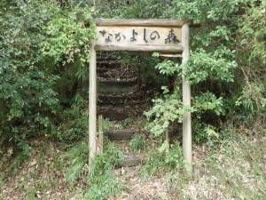 なかよしの森