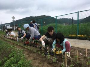 小櫃そうじいや活動写真