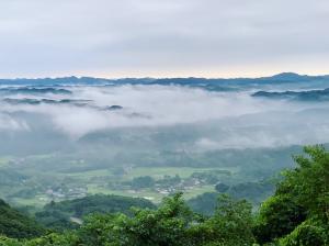 掲載用