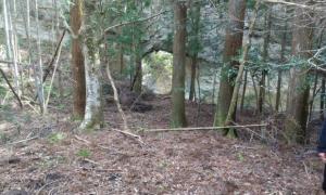 キャンプ場1