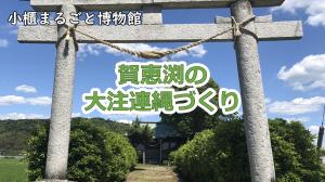 賀恵渕の大注連縄づくり