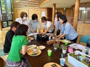 多肉植物の寄せ植え1