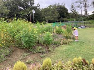 園庭の花畑の写真です。