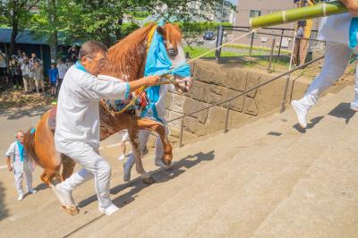 人見神社の神馬