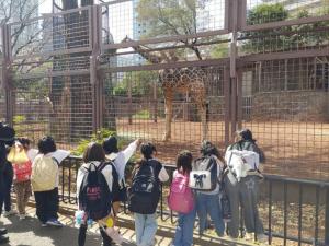 キリンの見学