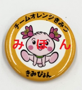 チームオレンジきみつ　缶バッジ