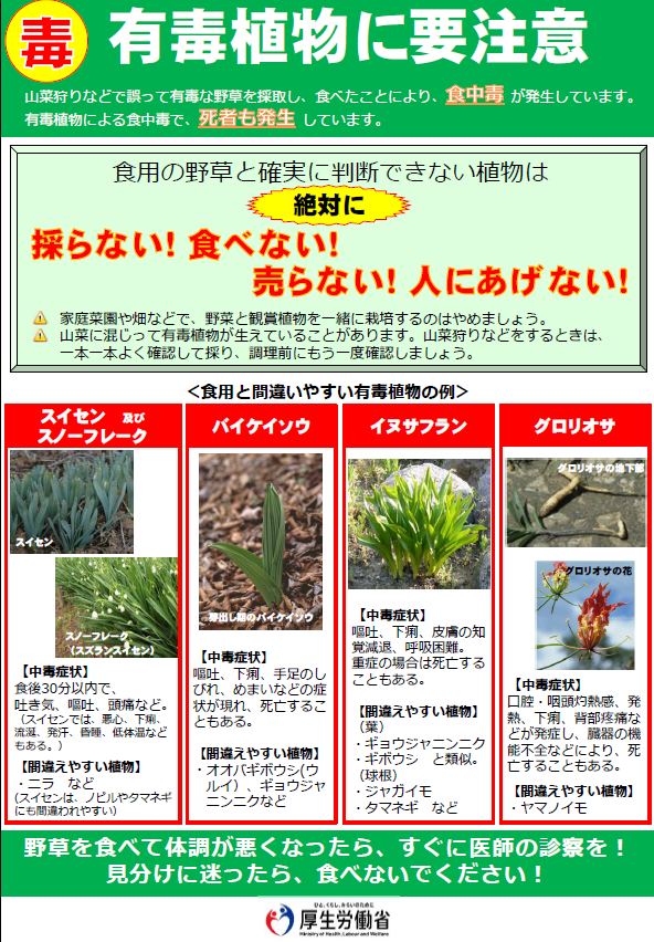 有毒植物に要注意１