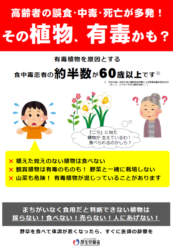 有毒植物に要注意3