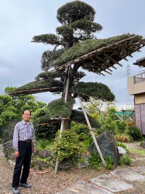 自慢の植木