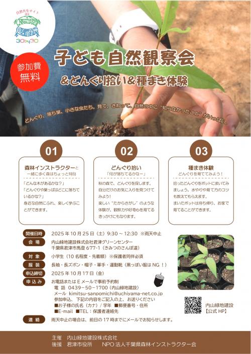 チラシ