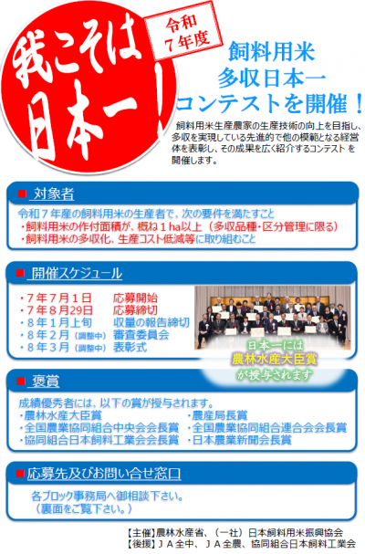 チラシ表面