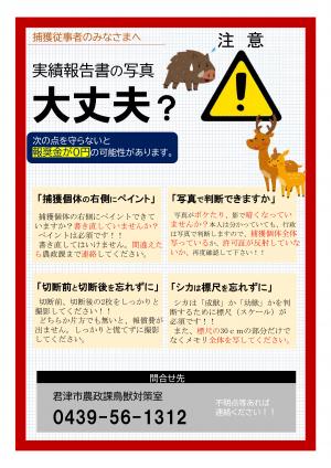 実績報告の注意点