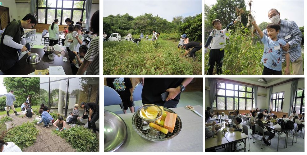 枝豆収穫とくん製づくりの様子