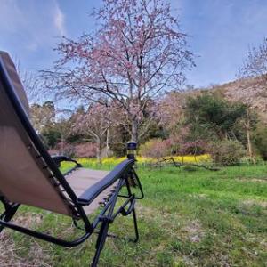 キャンプスペース