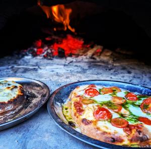 手作りピザ窯で焼いたピザ