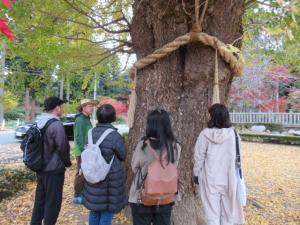 紅葉リトリート