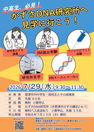 チラシ