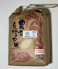 新米コシヒカリ