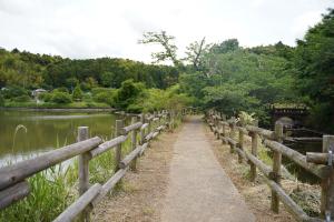 成願寺堰