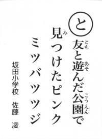 清和県民の森