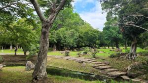 日本庭園