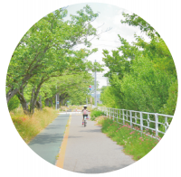 小糸川右岸ジョギングコース
