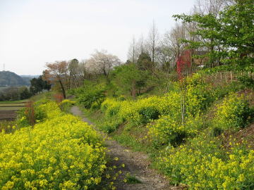 キャンプ場風景