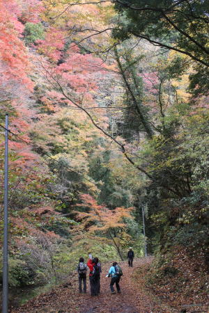 ハイキング風景
