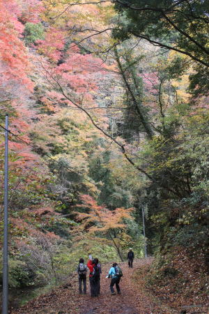 ハイキング風景